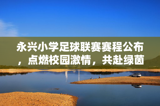 永兴小学足球联赛赛程公布，点燃校园激情，共赴绿茵之约，永兴小学足球联赛赛程公布，点燃校园激情，共赴绿茵之约