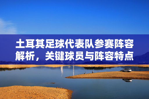 土耳其足球代表队参赛阵容解析，关键球员与阵容特点，土耳其足球代表队参赛阵容解析，关键球员与阵容特点