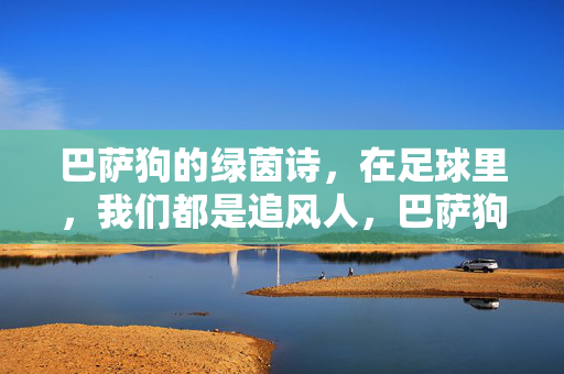 巴萨狗的绿茵诗，在足球里，我们都是追风人，巴萨狗的绿茵诗，在足球里，我们都是追风人
