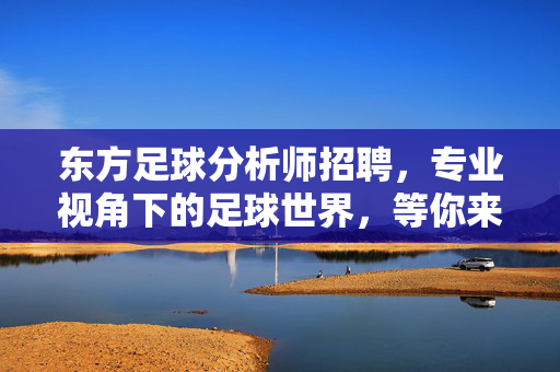 东方足球分析师招聘，专业视角下的足球世界，等你来点燃激情与智慧，东方足球分析师招聘，专业视角下的足球世界，等你来点燃激情与智慧