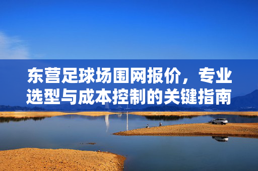 东营足球场围网报价，专业选型与成本控制的关键指南，东营足球场围网报价，专业选型与成本控制的关键指南