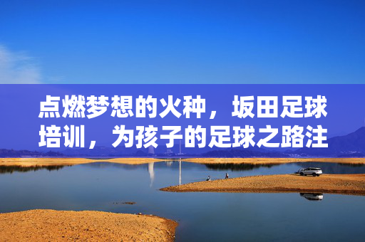 点燃梦想的火种，坂田足球培训，为孩子的足球之路注入不竭动力，点燃梦想的火种，坂田足球培训，为孩子的足球之路注入不竭动力