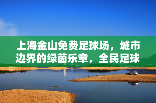 上海金山免费足球场，城市边界的绿茵乐章，全民足球的免费盛宴，上海金山免费足球场，城市边界的绿茵乐章，全民足球的免费盛宴