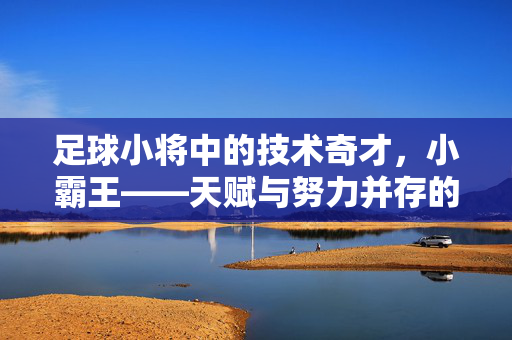 足球小将中的技术奇才，小霸王——天赋与努力并存的足球新星，足球小将技术奇才小霸王，天赋与努力并存的足球新星