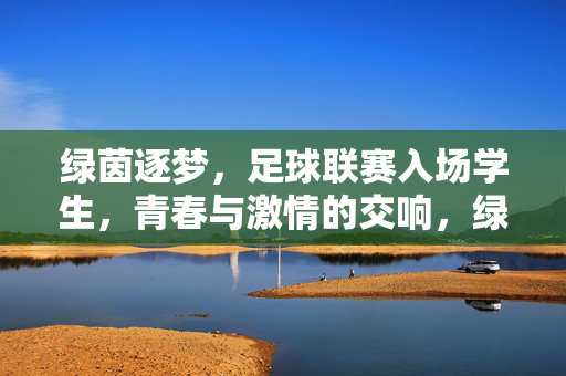 绿茵逐梦，足球联赛入场学生，青春与激情的交响，绿茵逐梦，足球联赛入场学生的青春与激情交响