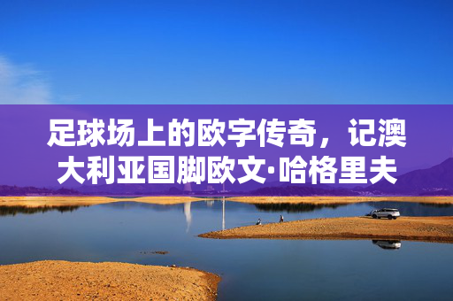 足球场上的欧字传奇，记澳大利亚国脚欧文·哈格里夫斯，足球场上的欧字传奇，记澳大利亚国脚欧文·哈格里夫斯