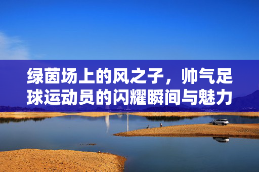 绿茵场上的风之子，帅气足球运动员的闪耀瞬间与魅力故事，绿茵风之子，帅气足球运动员的闪耀瞬间与魅力故事
