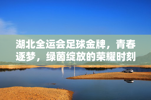 湖北全运会足球金牌，青春逐梦，绿茵绽放的荣耀时刻，湖北全运会足球金牌，青春逐梦，绿茵绽放的荣耀时刻