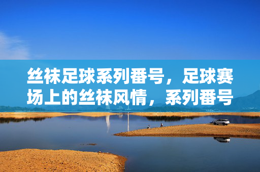 丝袜足球系列番号，足球赛场上的丝袜风情，系列番号里的运动与时尚交融