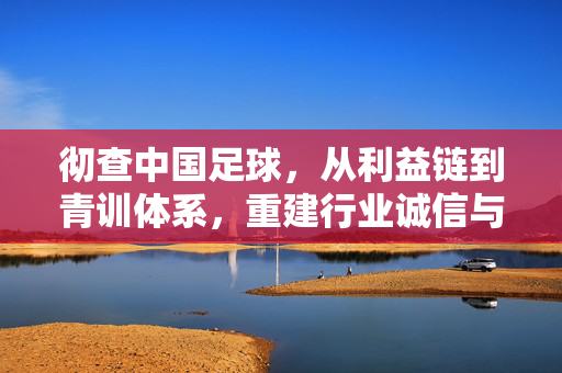 彻查中国足球，从利益链到青训体系，重建行业诚信与未来，彻查中国足球，从利益链到青训体系，重建行业诚信与未来