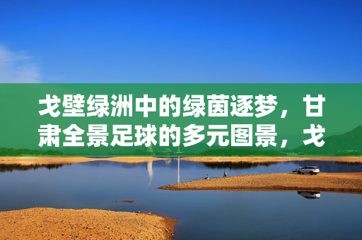 戈壁绿洲中的绿茵逐梦，甘肃全景足球的多元图景，戈壁绿洲中的绿茵逐梦，甘肃全景足球的多元图景