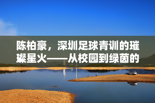 陈柏豪，深圳足球青训的璀璨星火——从校园到绿茵的逐梦之旅，陈柏豪，深圳足球青训的璀璨星火——从校园到绿茵的逐梦之旅