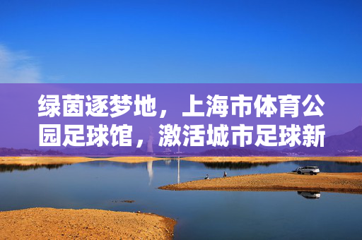 绿茵逐梦地，上海市体育公园足球馆，激活城市足球新活力，绿茵逐梦地，上海市体育公园足球馆激活城市足球新活力