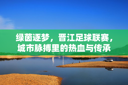 绿茵逐梦，晋江足球联赛，城市脉搏里的热血与传承