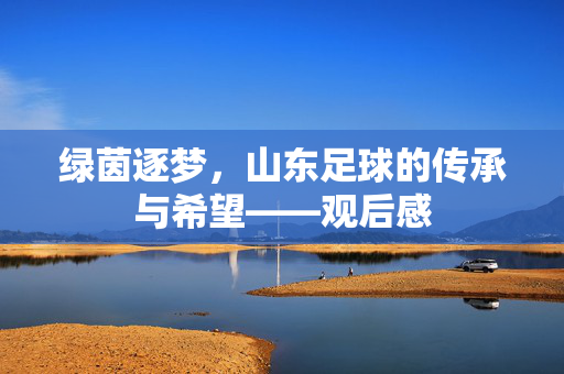 绿茵逐梦，山东足球的传承与希望——观后感