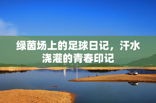 绿茵场上的足球日记，汗水浇灌的青春印记