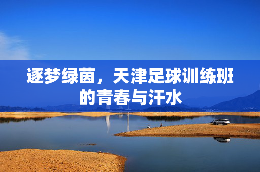 逐梦绿茵，天津足球训练班的青春与汗水
