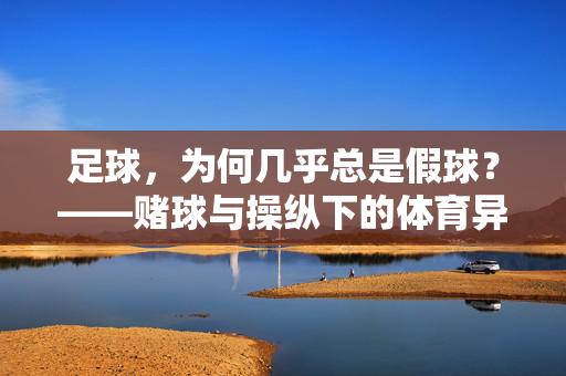 足球，为何几乎总是假球？——赌球与操纵下的体育异化，足球，为何几乎总是假球？——赌球与操纵下的体育异化