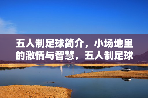 五人制足球简介，小场地里的激情与智慧，五人制足球，小场地里的激情与智慧