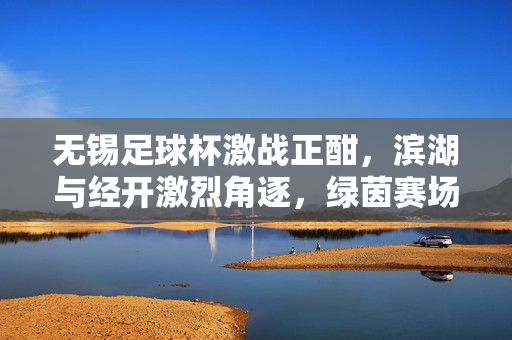 无锡足球杯激战正酣,滨湖与经开激烈角逐,绿茵赛场展现青春竞技风采,无锡足球杯激战正酣,滨湖与经开激烈角逐展现青春竞技风采