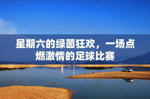 星期六的绿茵狂欢，一场点燃激情的足球比赛