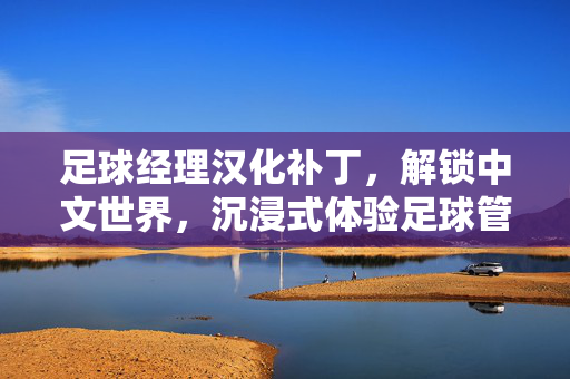 足球经理汉化补丁，解锁中文世界，沉浸式体验足球管理的真实魅力，足球经理汉化补丁，解锁中文世界，沉浸式体验足球管理的真实魅力