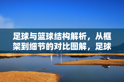 足球与篮球结构解析，从框架到细节的对比图解，足球与篮球结构解析，从框架到细节的对比图解