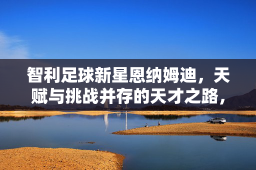 智利足球新星恩纳姆迪，天赋与挑战并存的天才之路，智利足球新星恩纳姆迪，天赋与挑战并存的天才之路