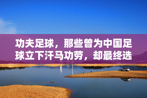 功夫足球，那些曾为中国足球立下汗马功劳，却最终选择叛变的叛徒们