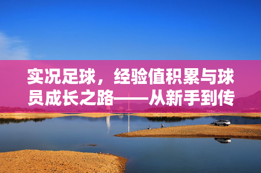 实况足球，经验值积累与球员成长之路——从新手到传奇的进阶密码，实况足球，经验值积累与球员成长之路——从新手到传奇的进阶密码