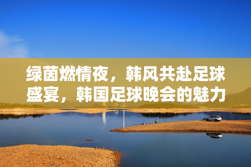 绿茵燃情夜，韩风共赴足球盛宴，韩国足球晚会的魅力与情怀