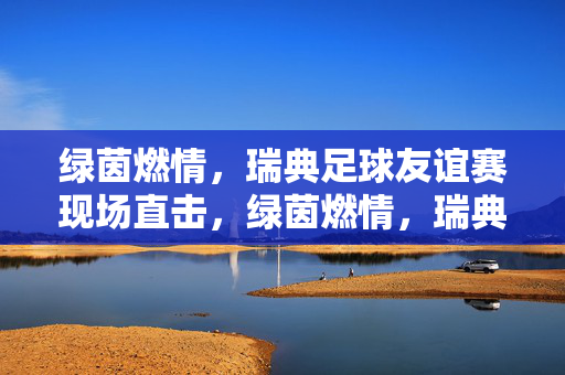 绿茵燃情，瑞典足球友谊赛现场直击，绿茵燃情，瑞典足球友谊赛现场直击