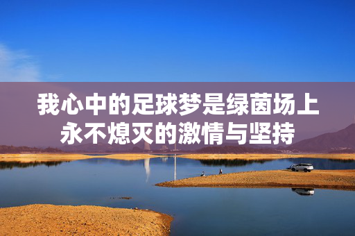 我心中的足球梦是绿茵场上永不熄灭的激情与坚持