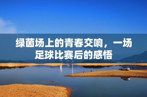 绿茵场上的青春交响，一场足球比赛后的感悟
