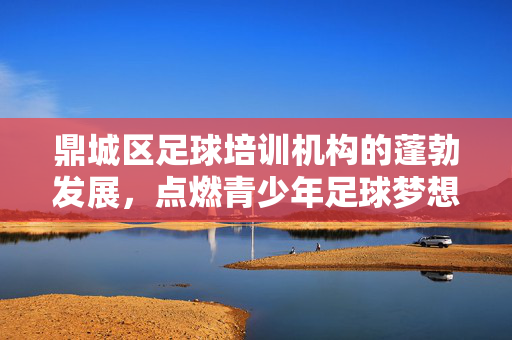 鼎城区足球培训机构的蓬勃发展，点燃青少年足球梦想的摇篮，鼎城区足球培训机构的蓬勃发展，点燃青少年足球梦想的摇篮