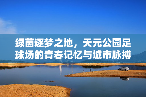 绿茵逐梦之地，天元公园足球场的青春记忆与城市脉搏，绿茵逐梦之地，天元公园足球场的青春记忆与城市脉搏