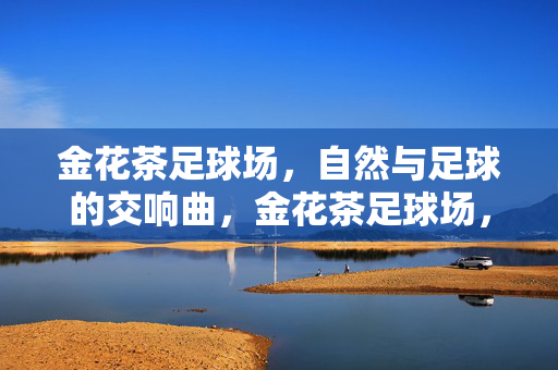金花茶足球场，自然与足球的交响曲，金花茶足球场，自然与足球的交响曲