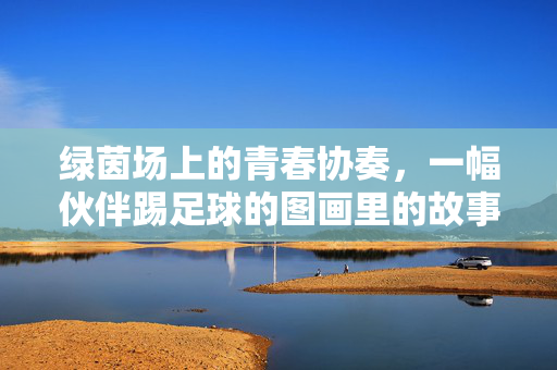 绿茵场上的青春协奏，一幅伙伴踢足球的图画里的故事，绿茵场上的青春协奏，伙伴踢足球的故事