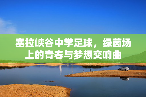 塞拉峡谷中学足球，绿茵场上的青春与梦想交响曲