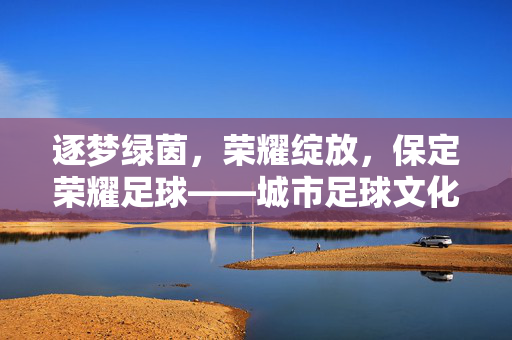 逐梦绿茵，荣耀绽放，保定荣耀足球——城市足球文化的燃灯者与传承者