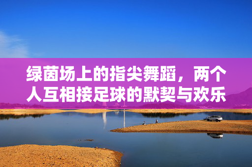 绿茵场上的指尖舞蹈,两个人互相接足球的默契与欢乐,绿茵场上的指尖舞蹈,足球接传的默契与欢乐