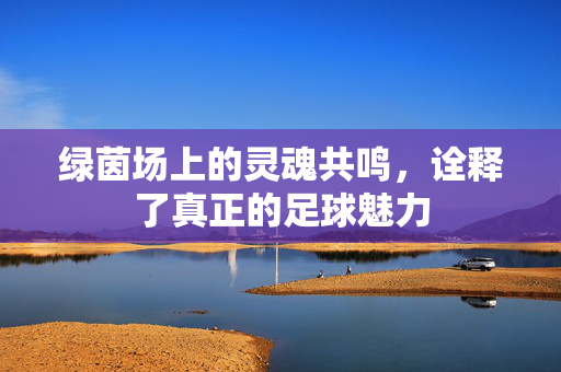 绿茵场上的灵魂共鸣，诠释了真正的足球魅力