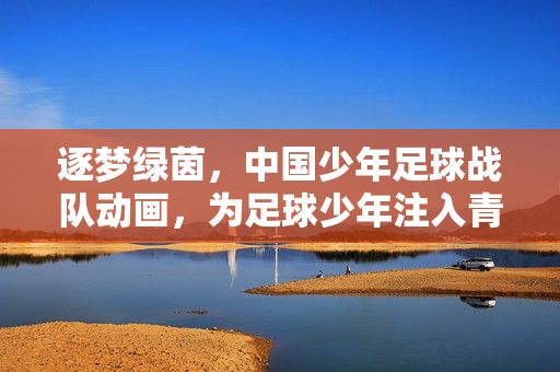 逐梦绿茵，中国少年足球战队动画，为足球少年注入青春力量