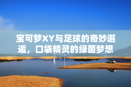 宝可梦XY与足球的奇妙邂逅，口袋精灵的绿茵梦想