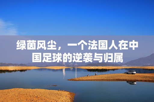 绿茵风尘，一个法国人在中国足球的逆袭与归属