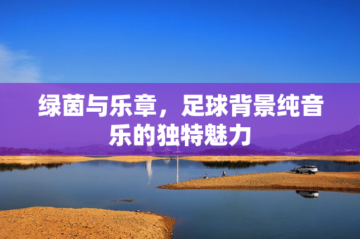 绿茵与乐章，足球背景纯音乐的独特魅力