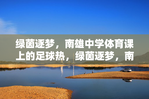 绿茵逐梦，南雄中学体育课上的足球热，绿茵逐梦，南雄中学体育课上的足球热