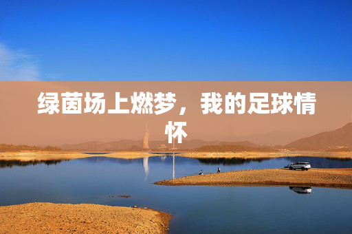 绿茵场上燃梦，我的足球情怀