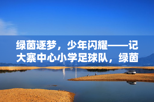 绿茵逐梦，少年闪耀——记大寨中心小学足球队，绿茵逐梦，少年闪耀——记大寨中心小学足球队