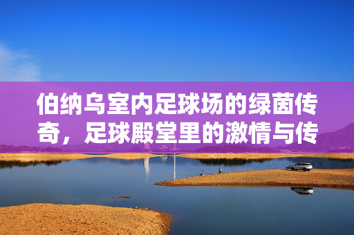 伯纳乌室内足球场的绿茵传奇，足球殿堂里的激情与传承，伯纳乌室内足球场的绿茵传奇，足球殿堂的激情与传承